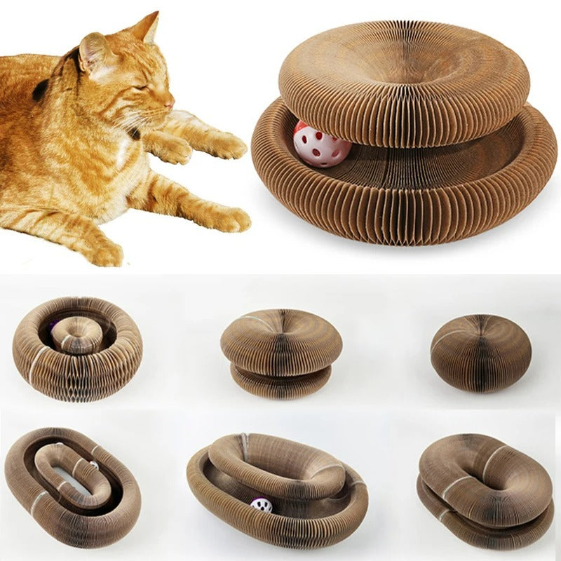 Round Corrugated Interactive Toy