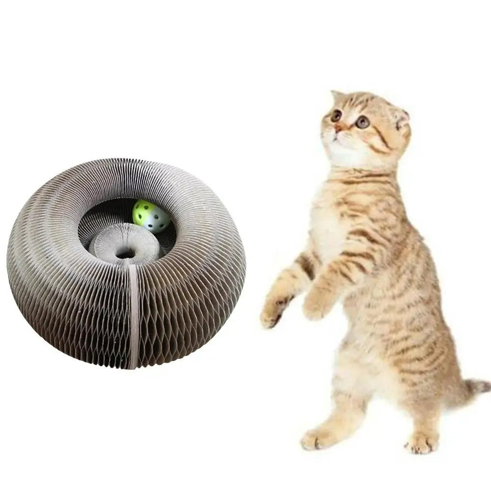 Round Corrugated Interactive Toy