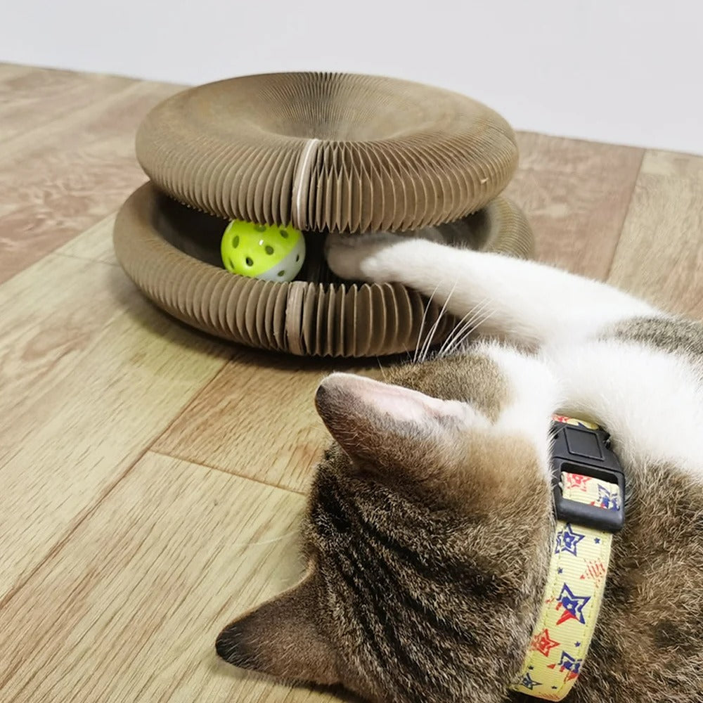 Round Corrugated Interactive Toy